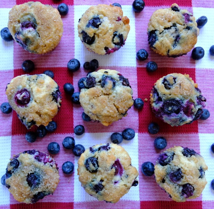 Blueberry Muffins